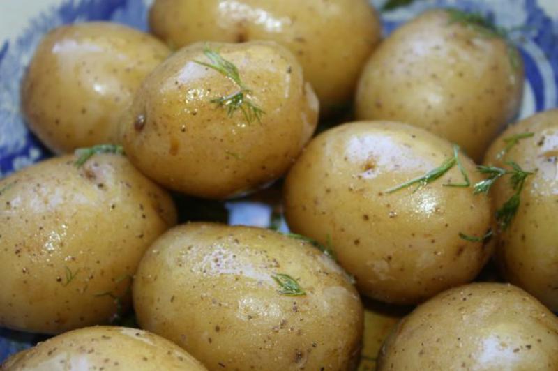 Haşlanmış Patates Diyeti